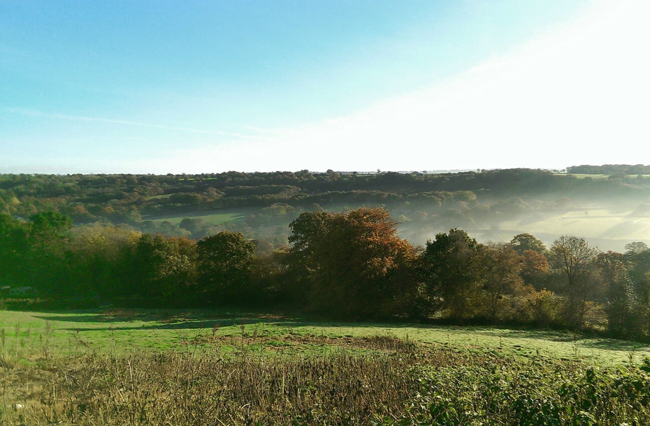 Blackdown Hills