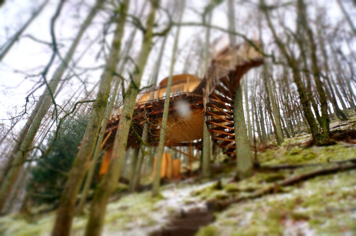 Snowdonia Treehouses - treehouse