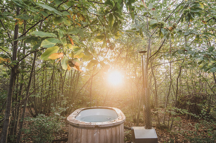 East Sussex Retreats - Woodland