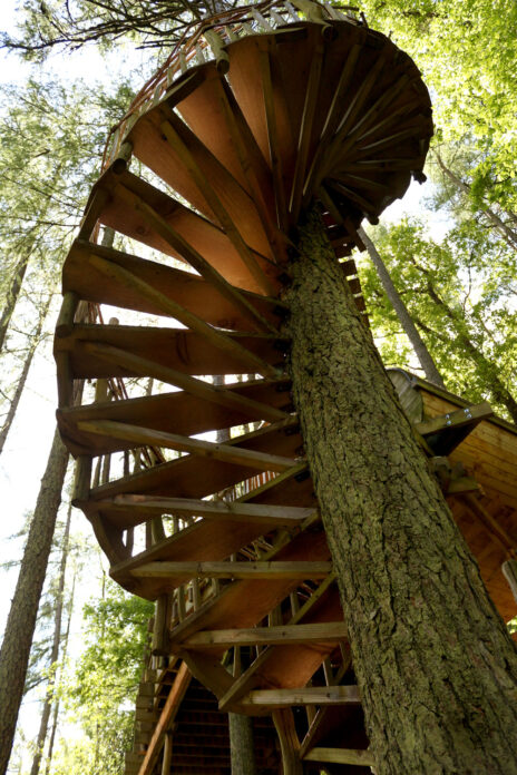 Snowdonia Treehouses - spiral staircase