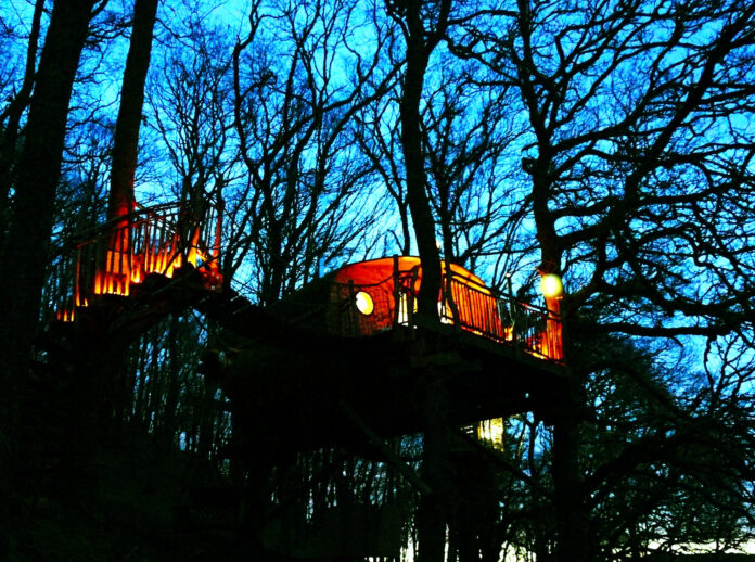Snowdonia Treehouses - night view