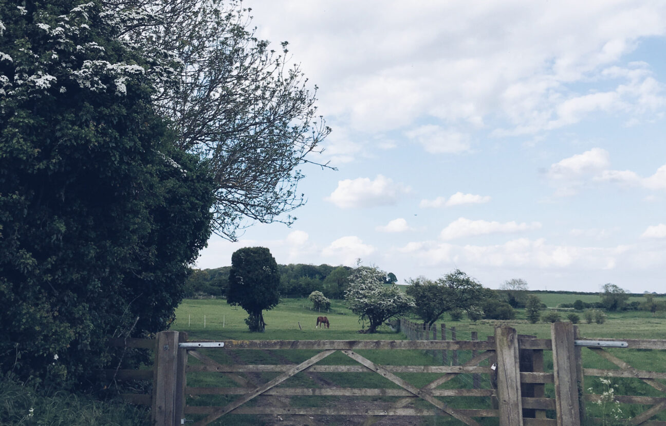 Castle Acre local walk