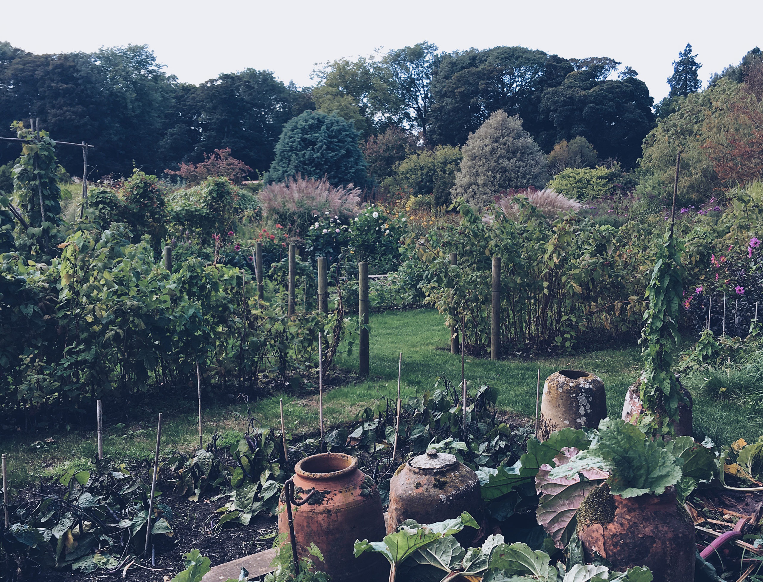 Castle Acre Cottage, Norfolk Kip Hideaways