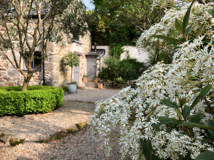 Palm Cottage