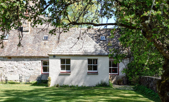Kitchen, The Woodland Cottages, Cairngorms