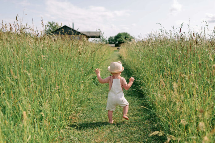 Luxury Glamping, Lincolnshire