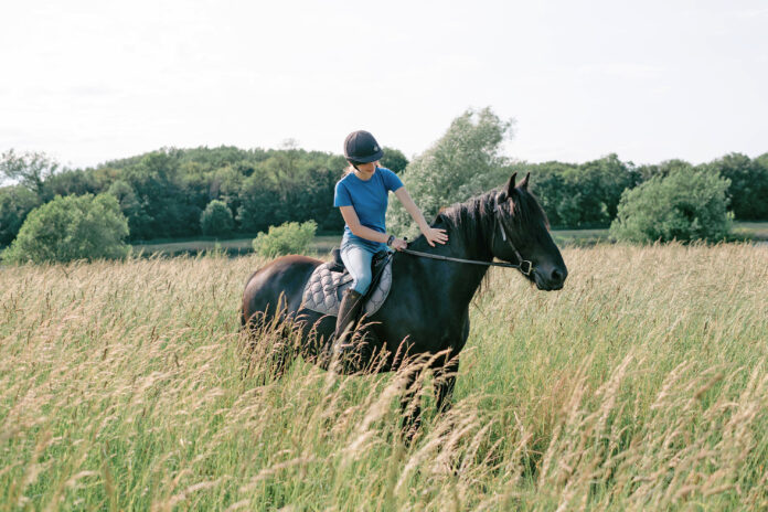 Luxury Glamping, Lincolnshire