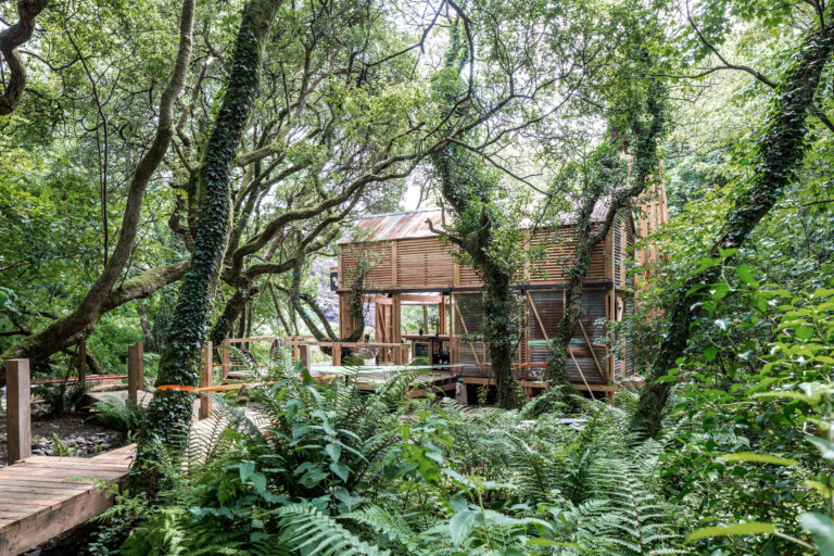 Cornish-Eco-Cabin69-George-Fielding-scaled-768x512.jpg