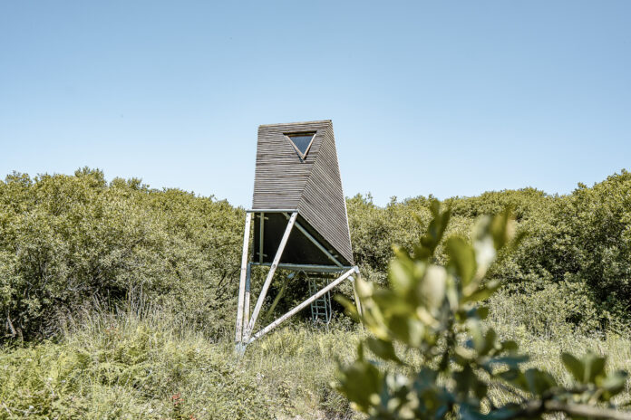 Cornish Eco Escape