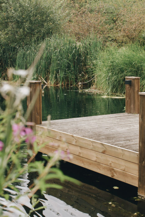 Dragonfly Cabin
