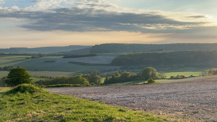 The Field Cabins Hampshire