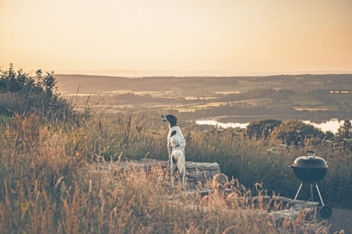 Boho Mendips Barn Tom Young Photography
