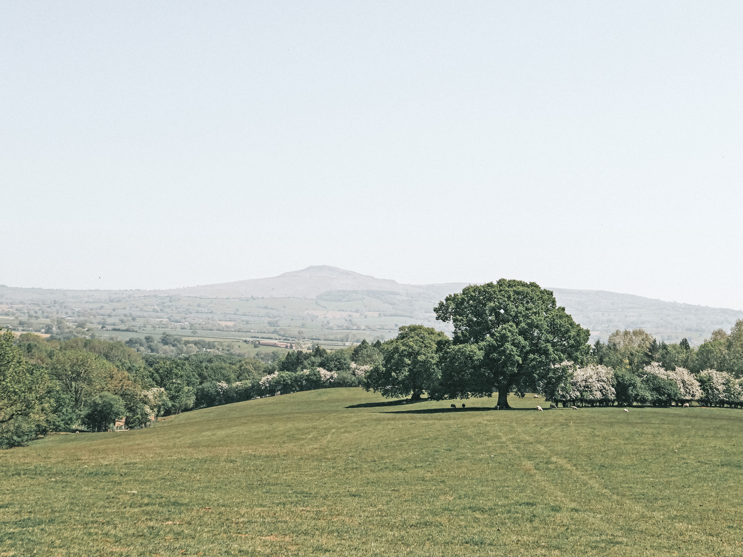Rolling Hill Cabins Shropshire