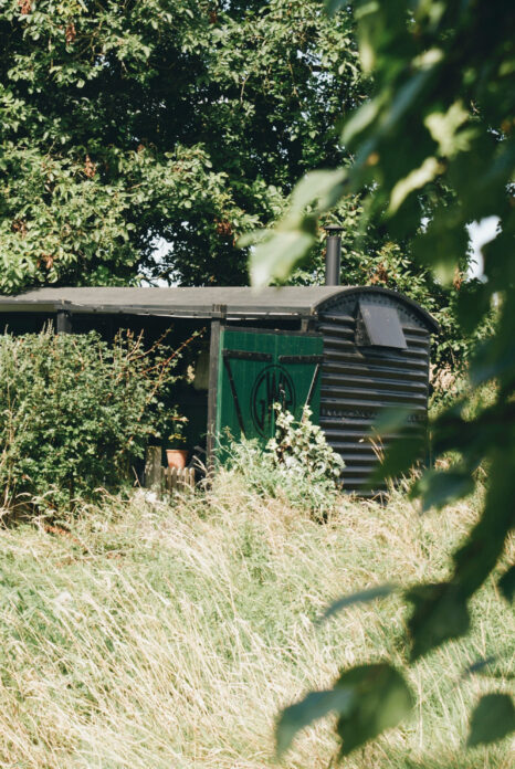 Wildflower Wagon