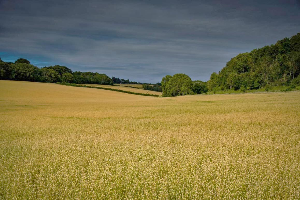 South Downs
