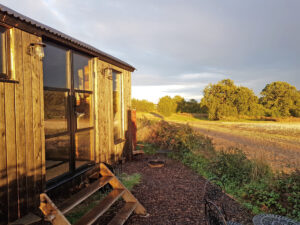 Essex Shepherd's Hut