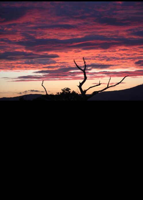 Seaside Croft, W Scotland