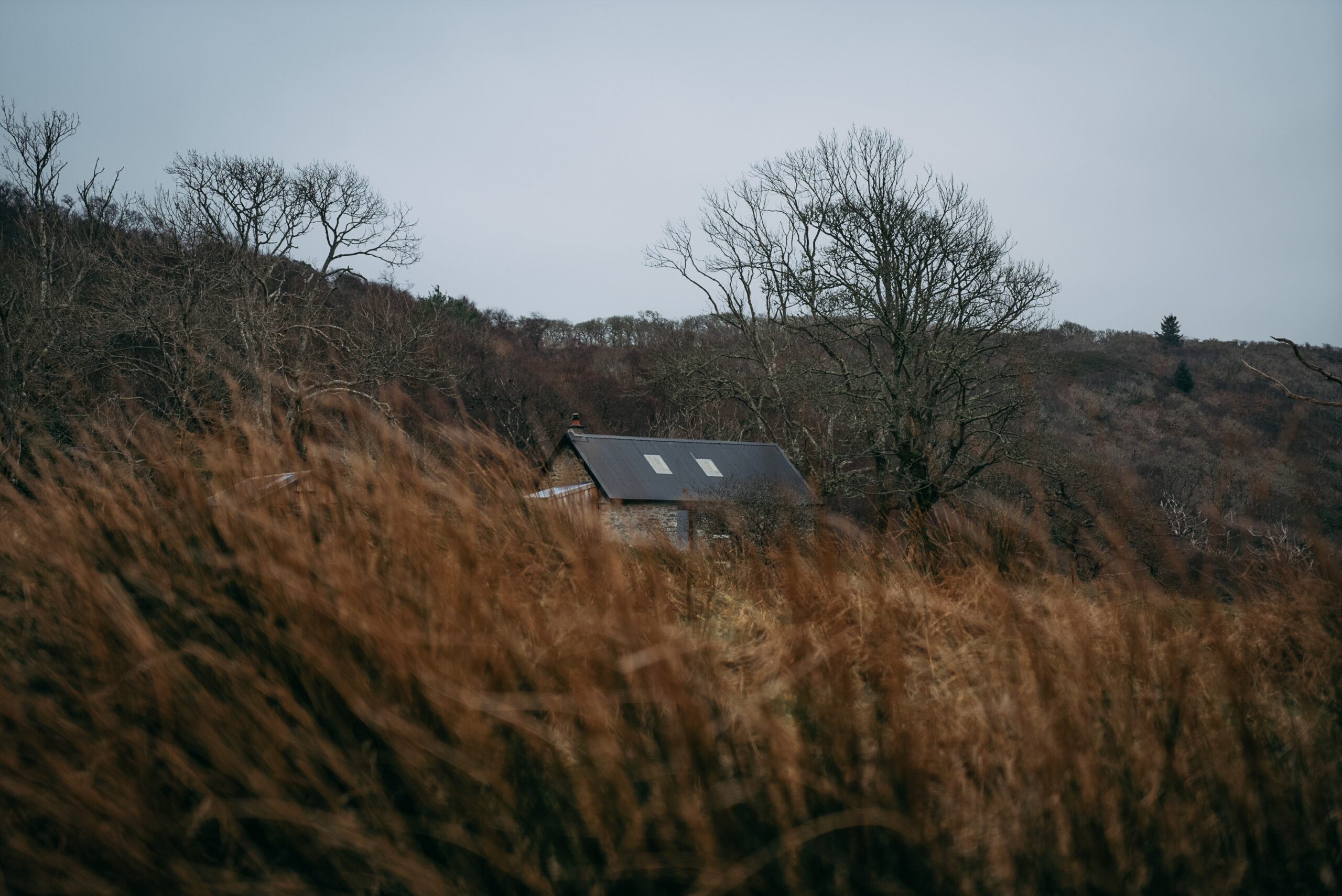 Seaside Croft, Scotland