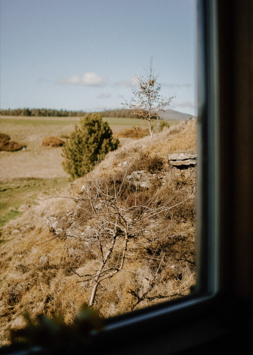 Wilderkin Cabin