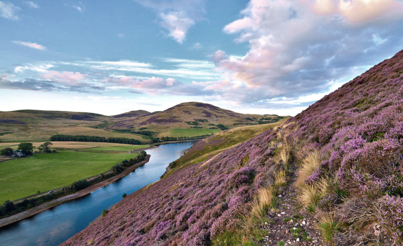Pentland Hills