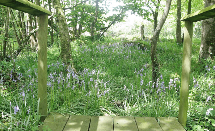 Trefoil Barn, Cornwall