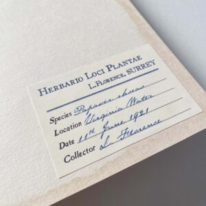 Poppy Herbarium - Image 4