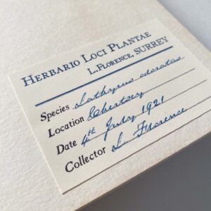 Sweet Pea Herbarium - Image 4