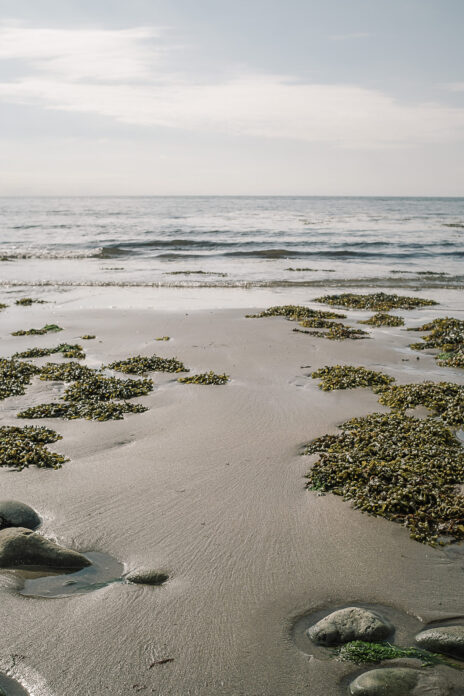 Fferm Traeth, Wales