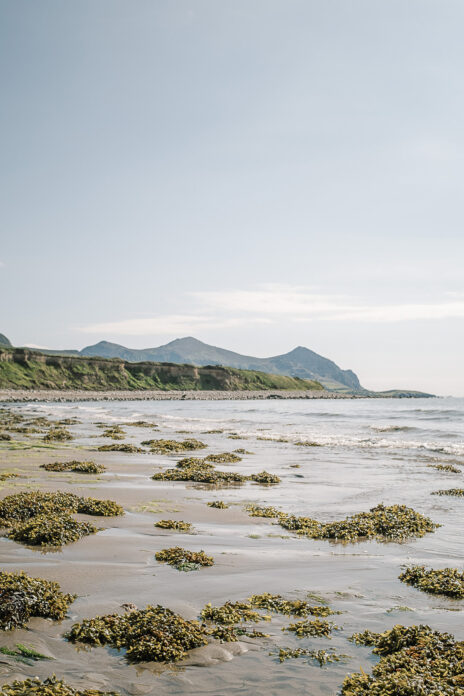 Fferm Traeth, Wales