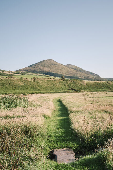 Fferm Traeth, Wales