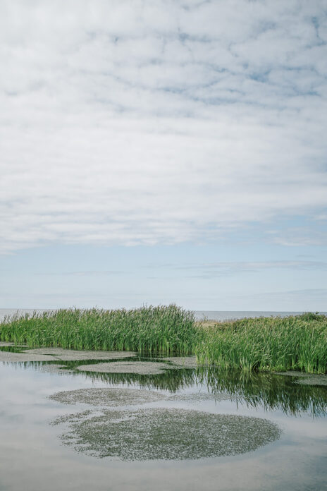 Fferm Traeth, Wales