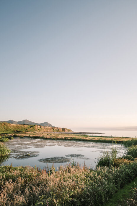 Fferm Traeth, Wales
