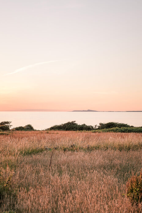 Fferm Traeth, Wales