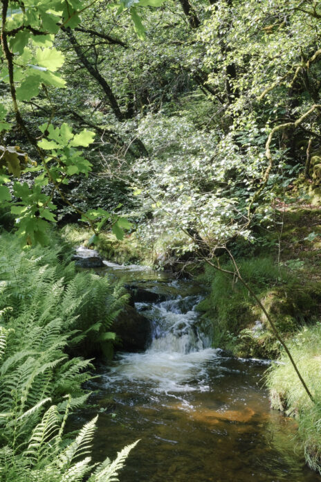 Woodcock Cabin on Kip Hideaways