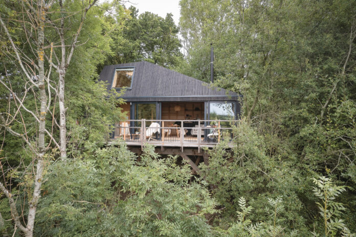 Elm Treehouses, Devon
