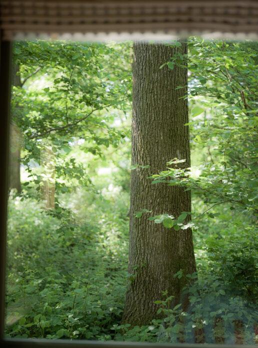 The Quist Sarah Kelley Photography