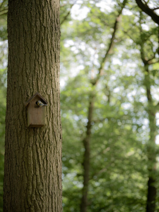 The Quist Sarah Kelley Photography