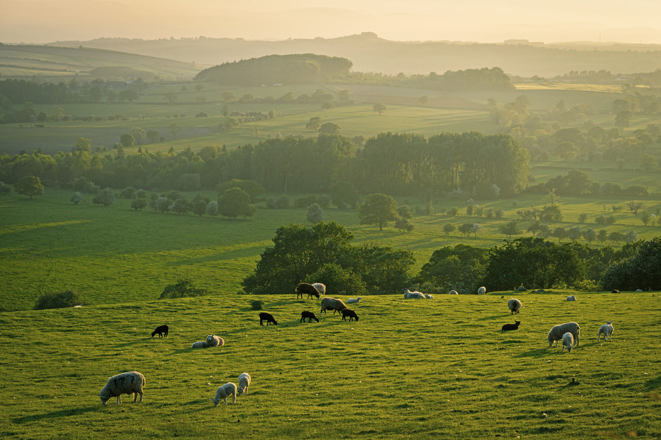Yorkshire Dales Illiya Vjestica Photography