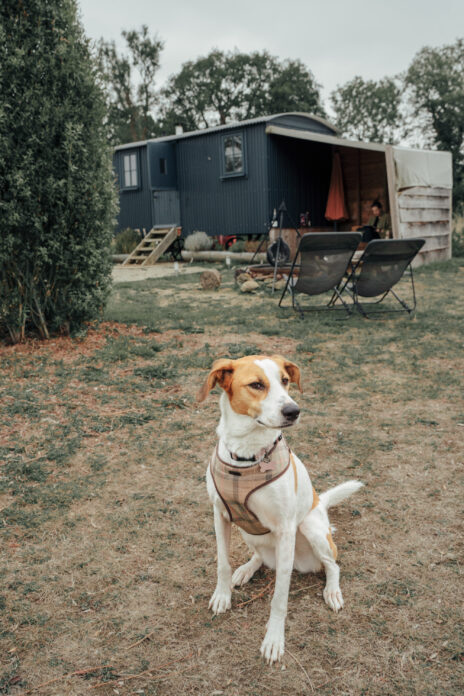 Unfold on Kip Hideaways