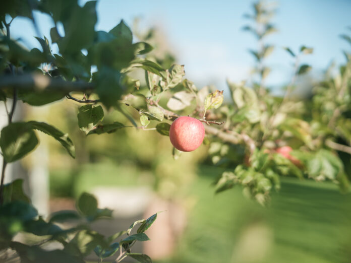 Little Combe on Kip Hideaways