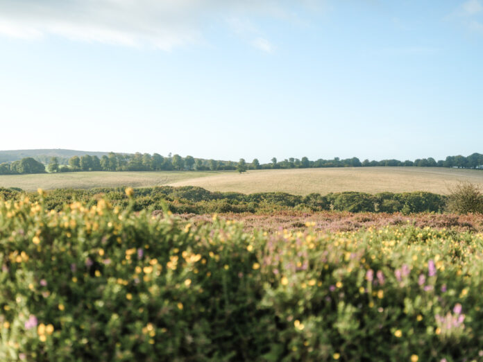 Little Combe on Kip Hideaways