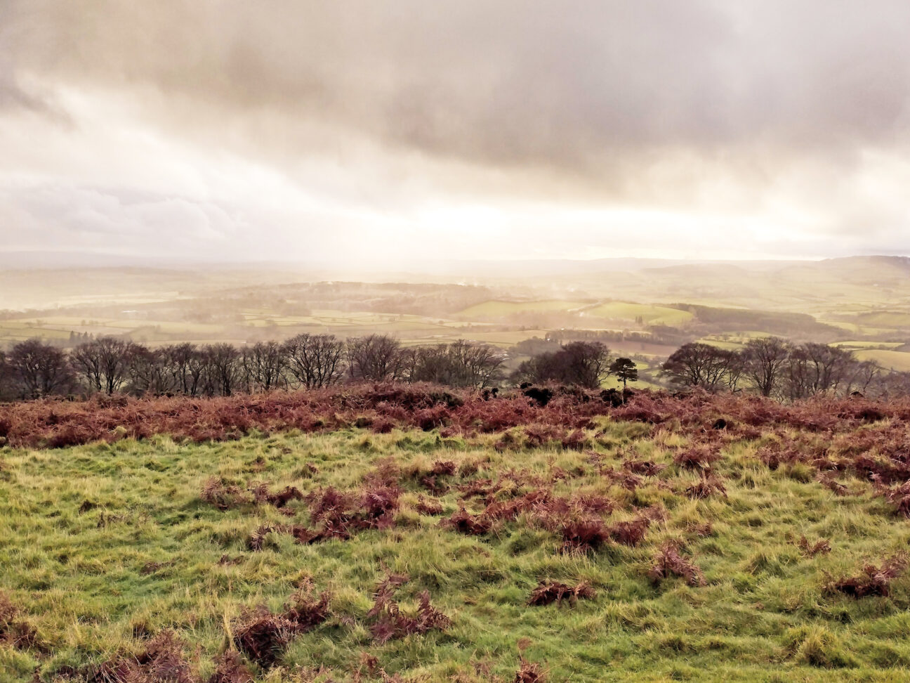 Quantock Hills