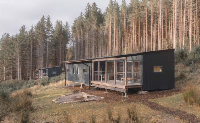 Pine Marten, Ullapool