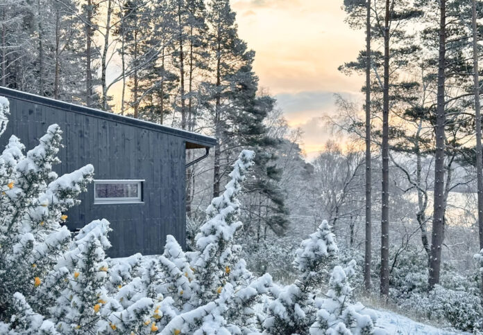 Pine Marten, Ullapool