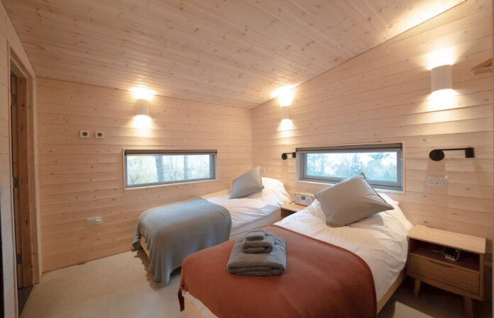 Pine Marten, Ullapool