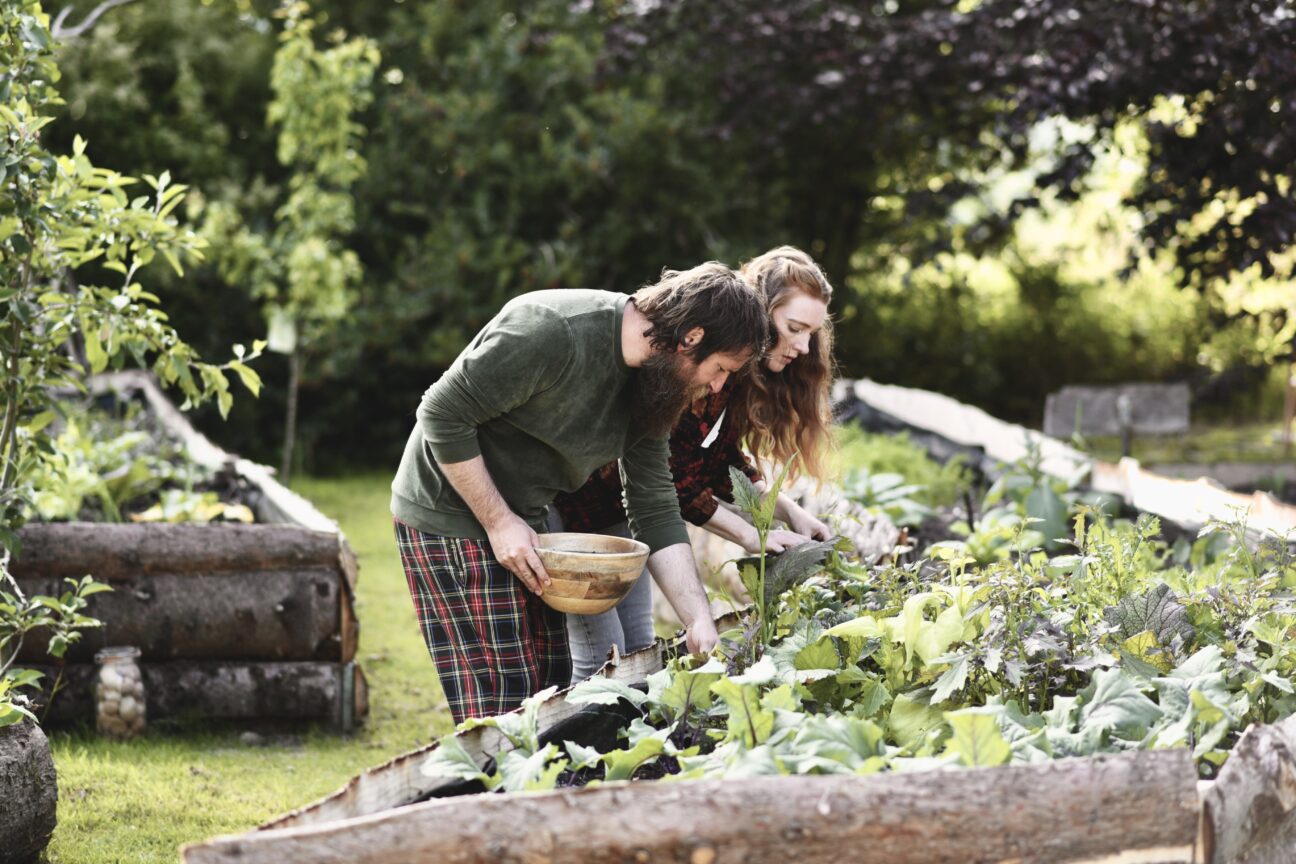 Two people in a garden