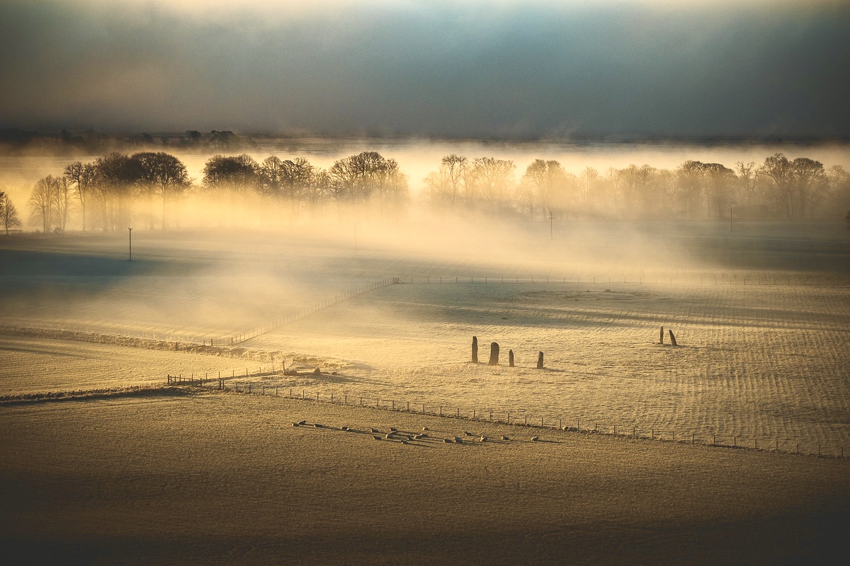 Misty fields