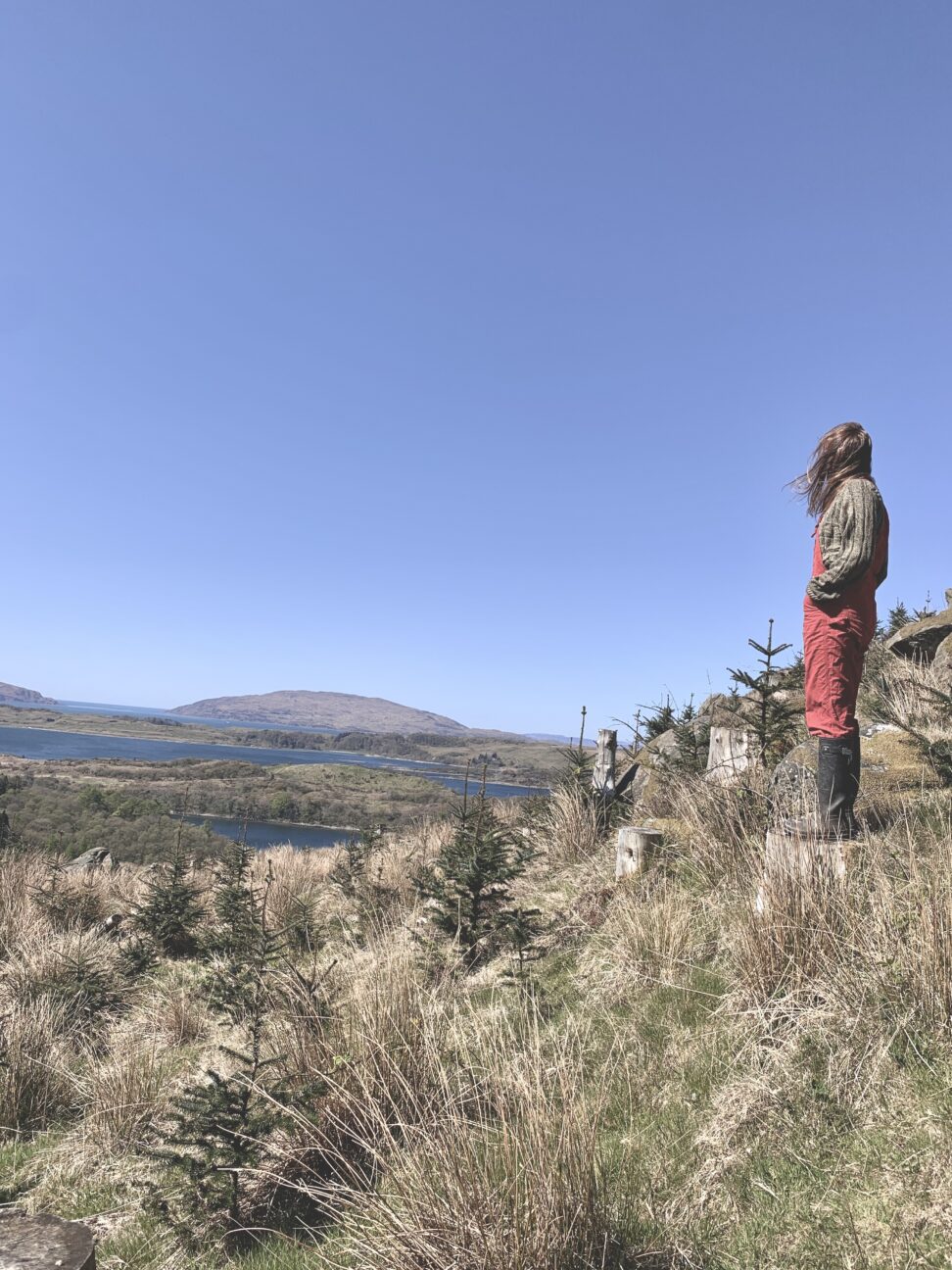 Person looking out over a lake and mountains