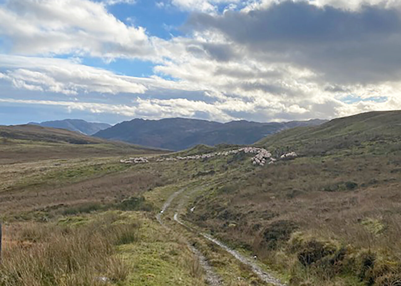 Loch Earn Cabin