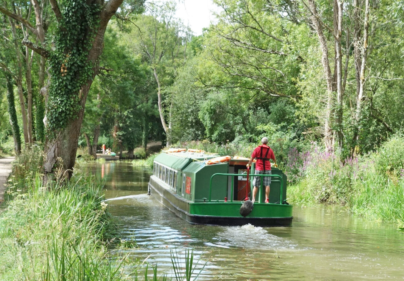 The Wey & Arun Canal Trust Cream Tea Cruise